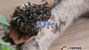 茶叶表面有一层白的是什么病，茶叶表面的白色物质是什么？并非病，真相在这里！