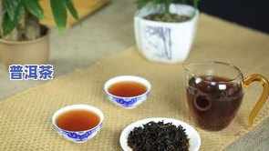 20普洱茶-老同志懂过2020普洱茶