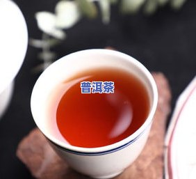 20普洱茶-老同志懂过2020普洱茶