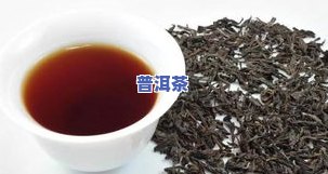 茶叶什么时候出现的-茶叶什么时候出现的精加工