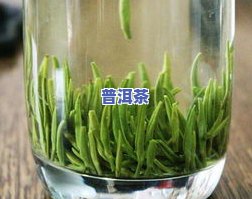 竹叶青茶叶产地，探寻竹叶青茶叶的产地，品味清新自然的味道