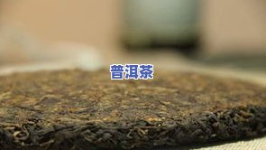 普洱茶的源头，探秘普洱茶的源头：追寻其历史和文化背景