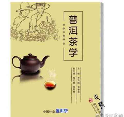 普洱茶源于什么，探究普洱茶的起源：一段历史与文化的交融