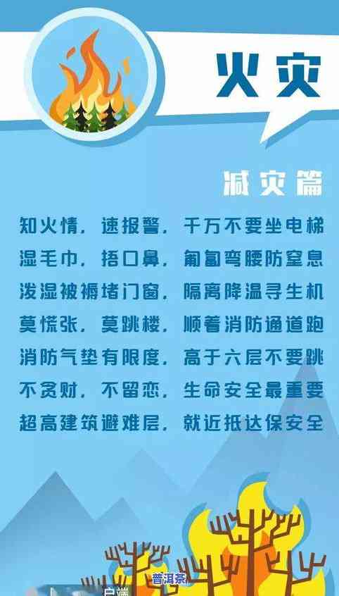 普洱茶哪个适合收藏，普洱茶收藏指南：哪些品种最适合收藏？