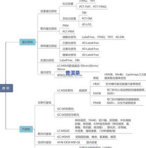 普洱茶神奇功效：揭示其独特作用与原理