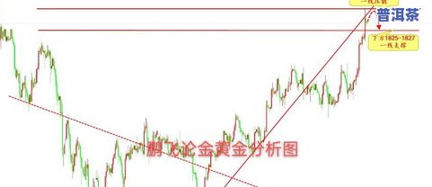 陈茶叶泡出来是黄的：起因解析