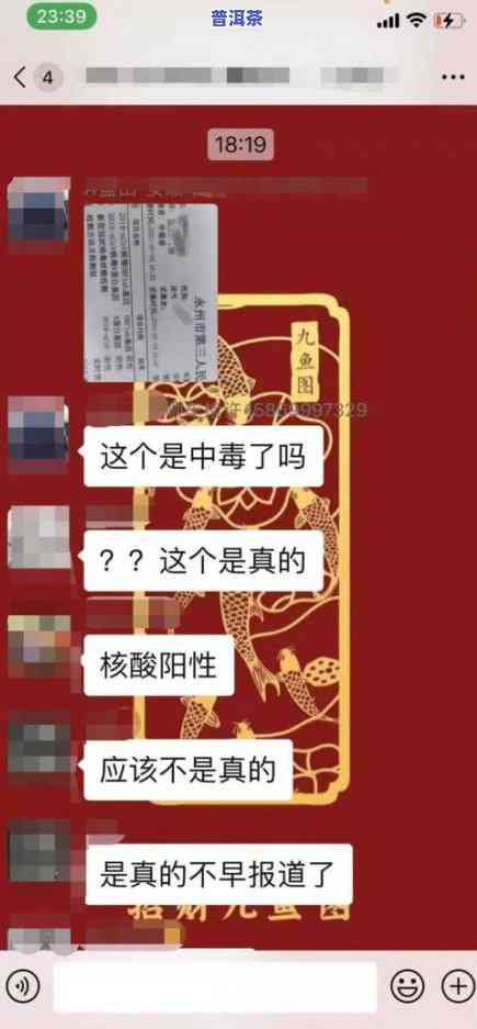 普洱茶：凉性还是热性？探讨其属性与分类