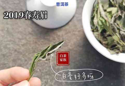 白牡丹是哪里的白茶，探寻白牡丹：哪里产更好的白茶？