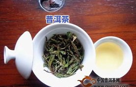 白牡丹茶叶是哪里的-白牡丹茶叶是哪里的特产