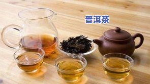 普洱茶不加水能喝吗？探讨其可行性与原因