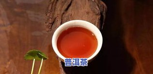 冰岛古韵普洱茶简介，探索冰岛古韵普洱茶的神秘世界