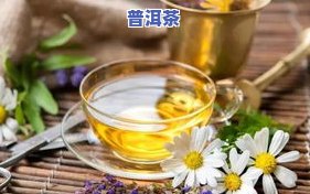 青甘普洱茶孕妇能喝么吗一天几次，孕妇可以饮用青甘普洱茶吗？每日饮用次数应怎样安排？