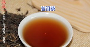 普洱茶广东仑是干仑还是湿仑？求解答！