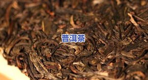 普洱茶广东仑是干仑吗-普洱茶广东仑是干仑吗还是湿仑