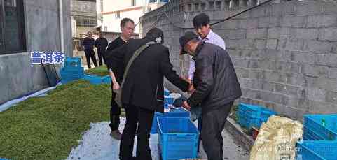 什么地方有卖茶叶的-什么地方有卖茶叶的市场