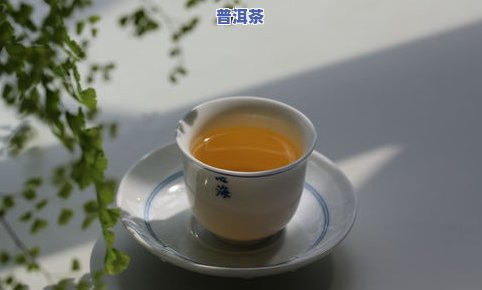 古朴普洱茶-普洱 古茶