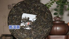 普洱茶发展历史高清图片