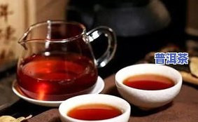 谈普洱茶：为何易武茶不可或缺？深度解析普洱茶的魅力