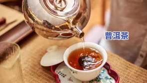 小青柑普洱茶能泡茶吗-小青柑普洱茶能泡茶吗怎么泡