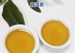 六大茶类普洱茶特点解析