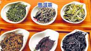 六大普洱茶分别是：熟茶、生茶、绿茶、白茶、乌龙茶、红茶。