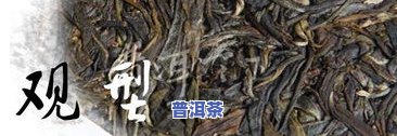 绝版普洱茶-绝版普洱茶饼有那些