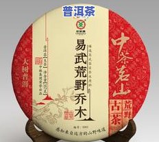 荒野普洱茶封面图片大全：探索野生普洱的魅力