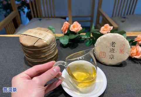 普洱茶喝的时候要煮吗-普洱茶喝的时候要煮吗为什么