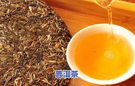 普洱茶熟化-普洱茶熟化工艺