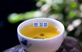 普洱茶是好茶吗？价格多少？一斤、一盒分别多少钱？