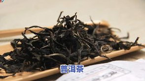 普洱茶：特点与分类全解析