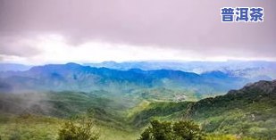 百花山普洱茶产地揭秘：你知道它来自哪里吗？