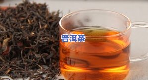 红茶都哪些品种好，探究红茶的多样品种：哪种更好？