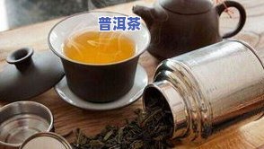 普洱茶鲜叶图片高清，高清大图：品味普洱茶的魅力，探索鲜叶之美！