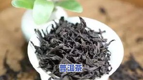 陈茶叶有什么用，探秘陈茶叶的多重用途：你可能不知道的功效和妙用