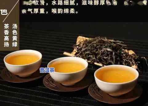 普洱茶煮几分钟更佳？详解更佳冲泡时间与技巧