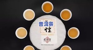 如何全面介绍普洱茶文化的内涵与特色？