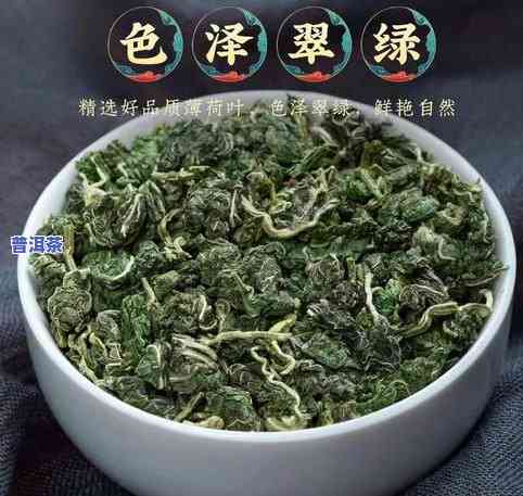 鲜茶叶能不能直接泡-鲜茶叶能不能直接泡水喝