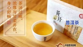 名山系列普洱茶：广告语、价格一览