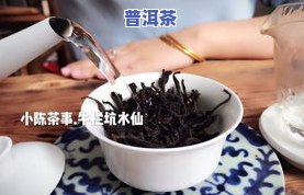 茶叶用多少度的水冲泡更佳？影响口感的关键因素解析