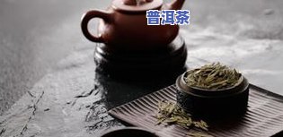 7742普洱茶品鉴：探索7741与7742普洱茶的差异及韵味