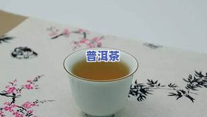 普洱茶一年的储存方法-普洱茶一年的储存方法有哪些