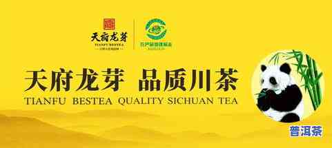 排名前三的茶叶有哪些，探索茶叶世界：排名前三的茶叶品种是什么？