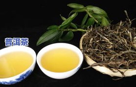 普洱茶花香是否天然？探讨其来源与成因