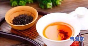 冬天普洱茶功效与作用，冬日养生必备：揭秘普洱茶的神奇功效与作用