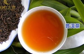 青果普洱茶的功能，探索青果普洱茶的神奇功效