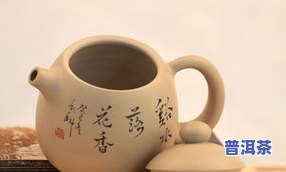 泡普洱茶的陶壶怎么选-泡普洱茶的陶壶怎么选择