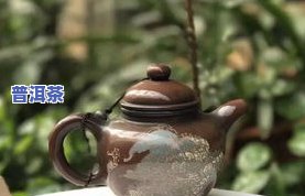 泡普洱茶的陶壶怎么选-泡普洱茶的陶壶怎么选择