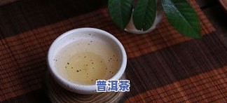 春润枝普洱茶，品味春天的味道：春润枝普洱茶的魅力探索