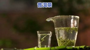 什么普洱茶好喝？性价比高的推荐与实惠之选！